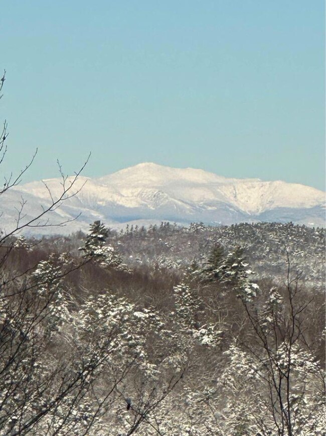 View from Hogfat Hill Rd