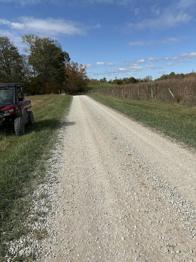 Pine Grove Ch Rd, Vanceburg, KY 41179 - photo 3