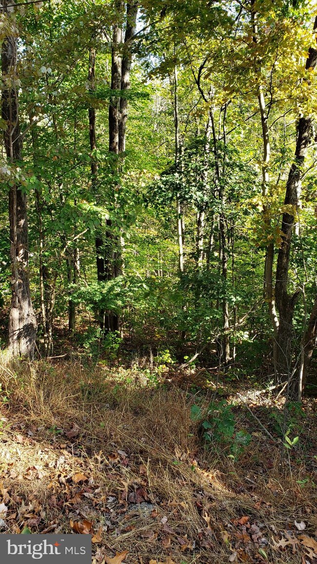 0 Vaught Dr unit VAWR138412, Front Royal, VA 22630 - photo 2