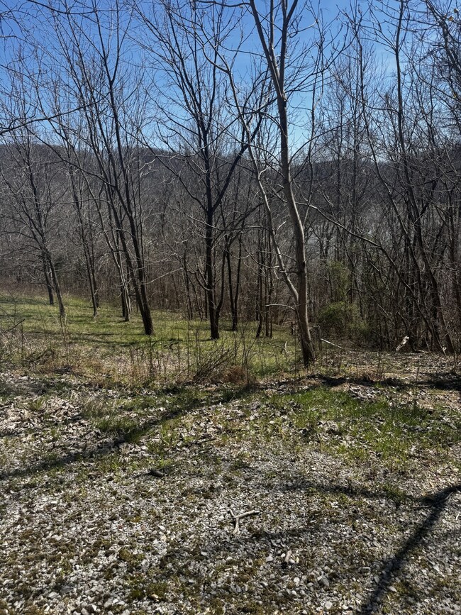 0 Dakota Ln unit RTC3058040, Smithville, TN 37166 - photo 2
