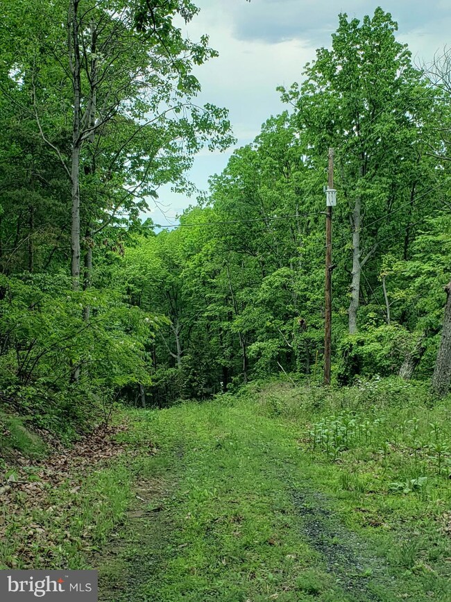 0 Lot 378 Kits Ct unit VAWR2003128, Front Royal, VA 22630 - photo 2