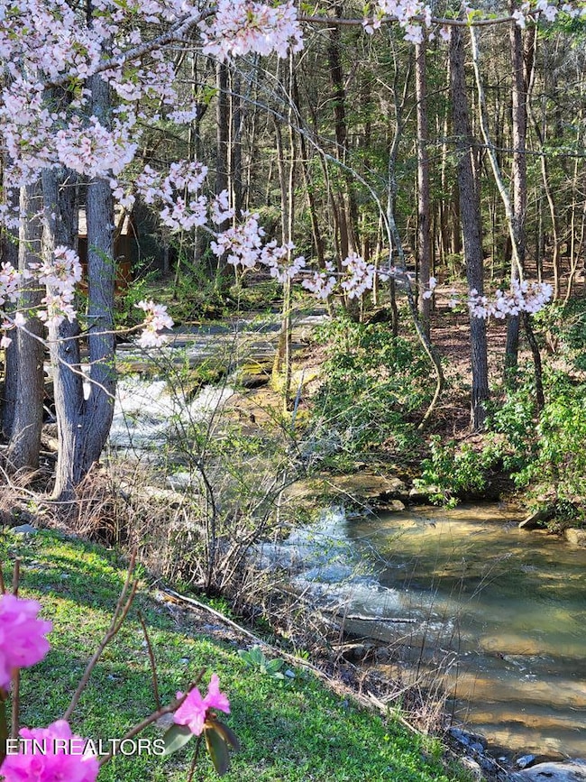 0 Tall Tree Tr unit 1269631, Dunlap, TN 37327 - photo 3