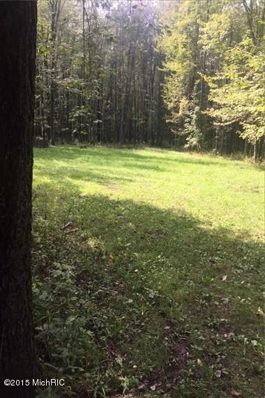 0 Tonkey Rd unit 15049868, Standish, MI 48658 - photo 2
