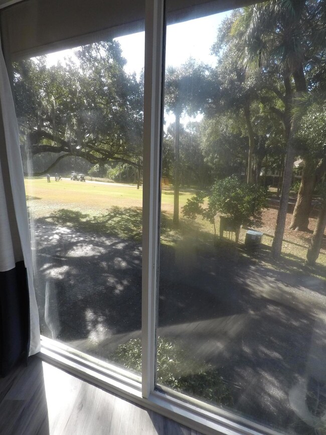 View From Bed