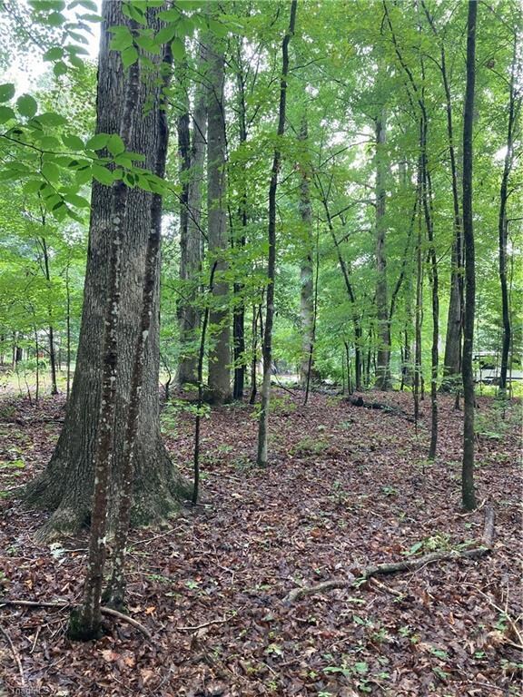 1405 Mack Rd, Asheboro, NC 27205 - photo 3