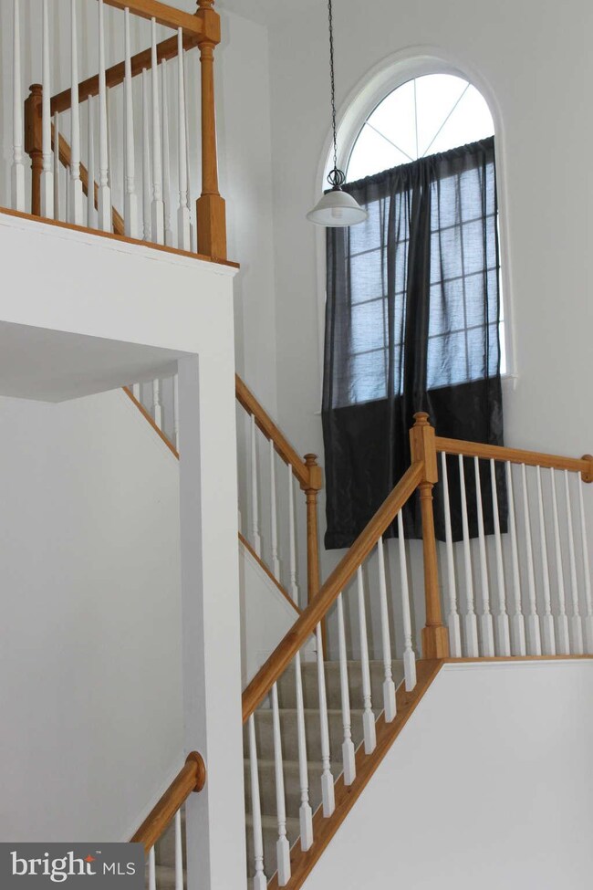 10421 Woodlake Ct, Spotsylvania, VA 22553 - photo 3