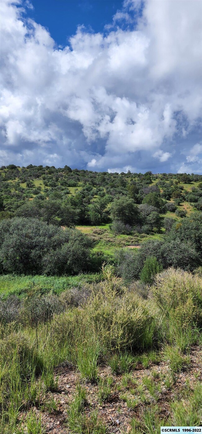 33xx Highway 90, Silver City, NM 88061 - photo 7