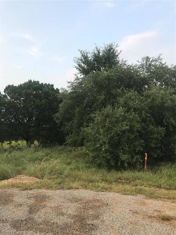 14063 Sandy Oaks Ct, Whitney, TX 76692 - photo 5