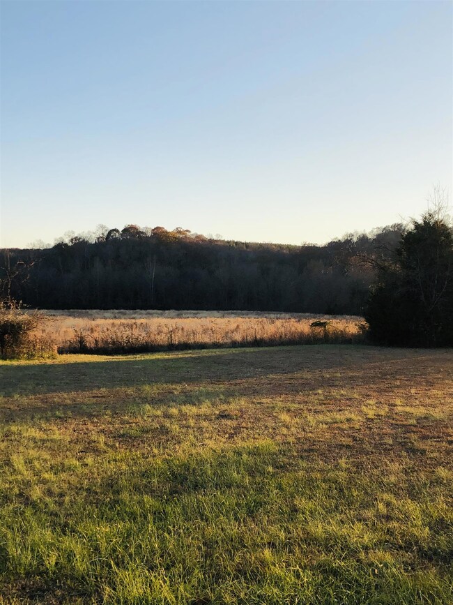 1106 Hurricane Creek Rd, Stewart, TN 37175 - photo 7