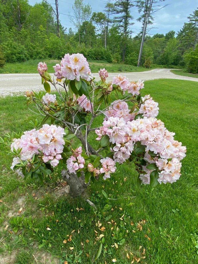 33 Hawthorne Ln, Harpswell, ME 04079 - photo 3