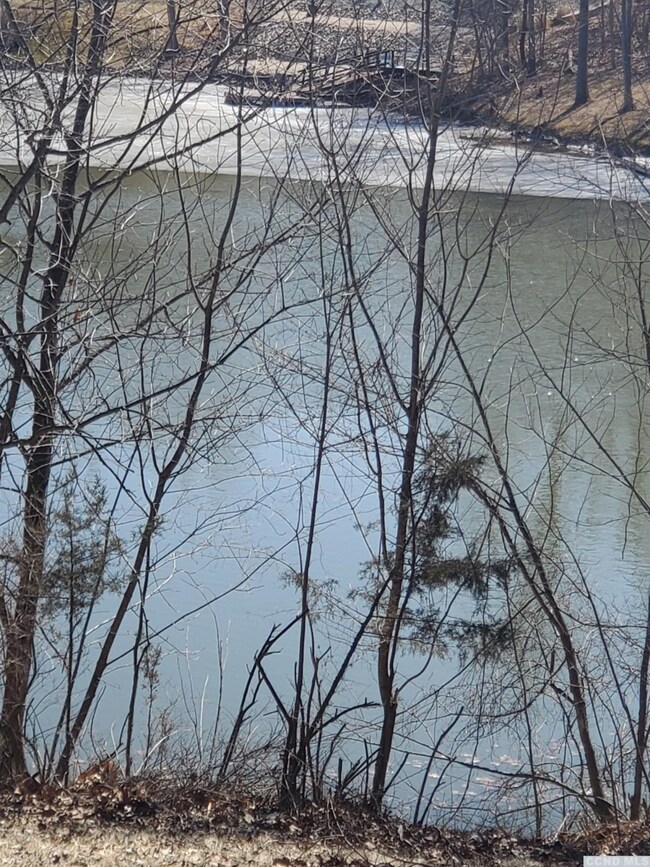 82 Fox Run Rd, Athens, NY 12015 - photo 4