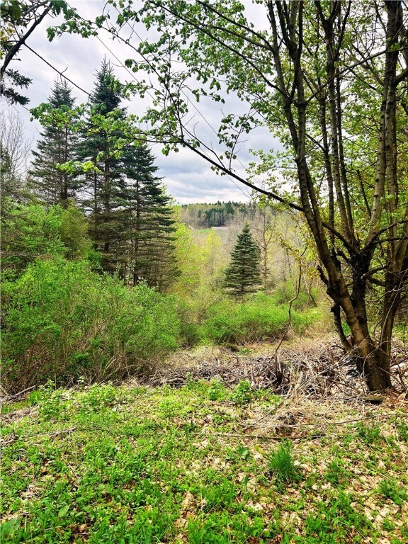 0 Sisson Hill Rd unit R1607206, Unadilla, NY 13849 - photo 5