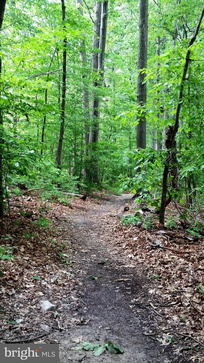 3860 Lyndhurst Dr unit 203, Fairfax, VA 22031 - photo 7