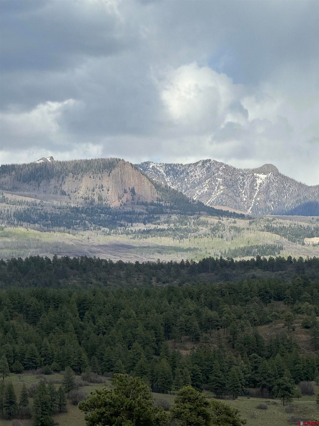 109 Hemlock Place, Pagosa Springs, CO 81147 - photo 3