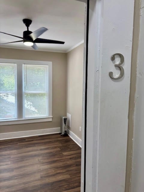 New flooring and paint