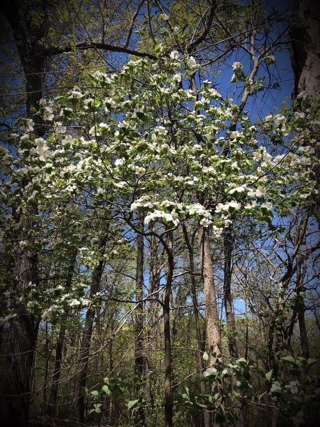 0 Cr 558 unit 1137841, Colcord, OK 74338 - photo 2