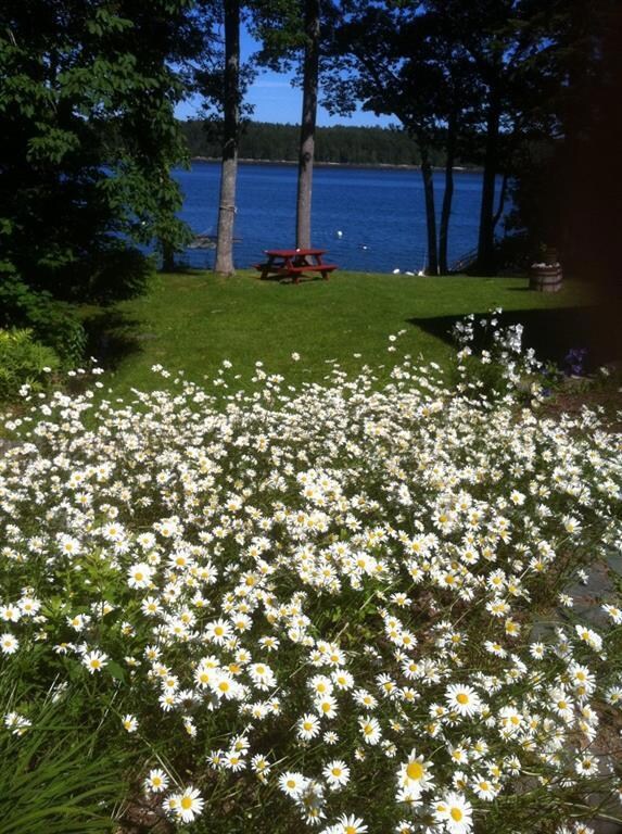 11 Skywatch Ln, Harpswell, ME 04079 - photo 3