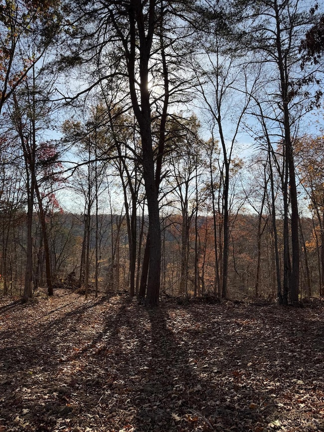 0 Ohio 775, Willow Wood, OH 45696 - photo 7