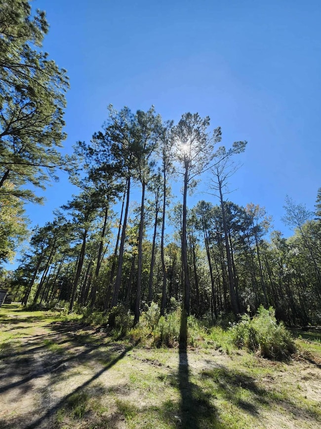 402 Smokehouse Lake Rd, Other, FL 00000 - photo 6