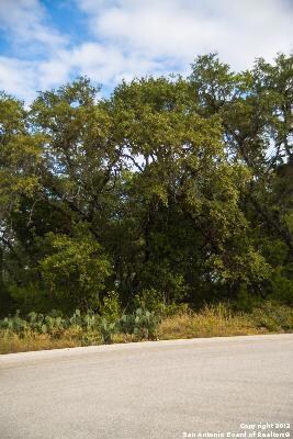3803 Wilderness Elm, San Antonio, TX 78261 - photo 4