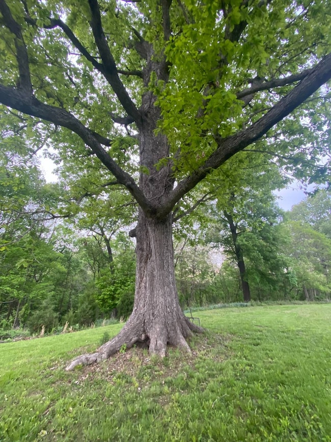 602 Raum Park Dr, Golconda, IL 62938 - photo 4