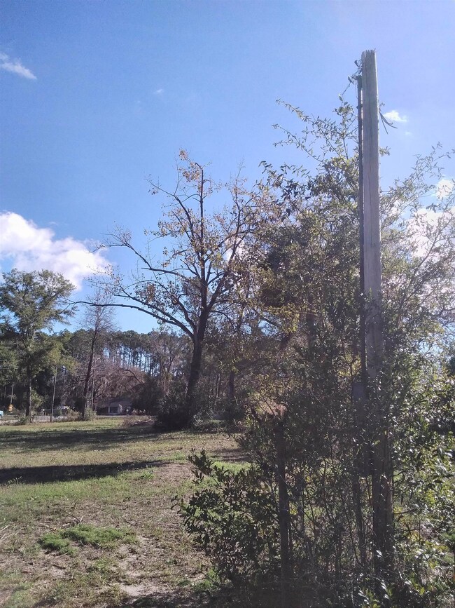 718 Shadeville Rd, Crawfordville, FL 32327 - photo 5