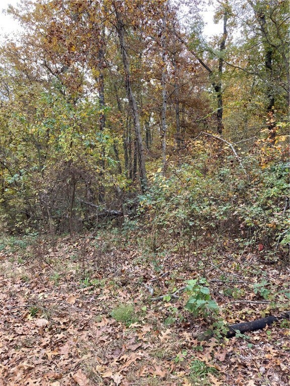 0 Clovelly Ln unit 1203432, Bella Vista, AR 72715 - photo 3