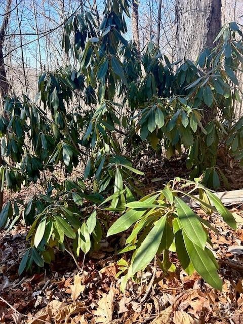 9999-1 Nesbitt Chapel Rd, Fairview, NC 28730 - photo 5