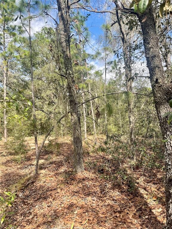 Lot #8 SE 73rd Place, Morriston, FL 32668 - photo 4