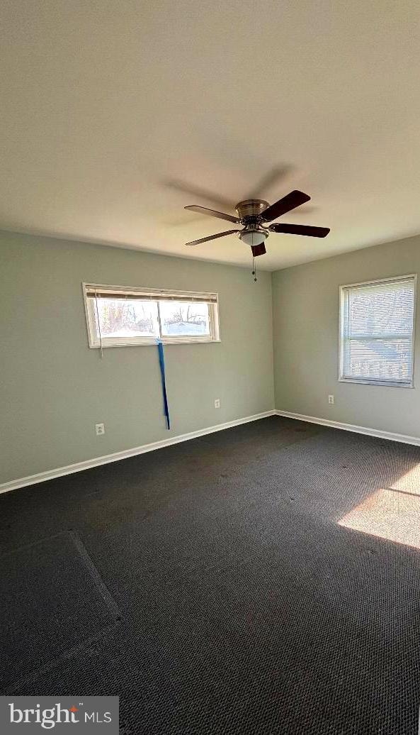 4802 67th Ave, Hyattsville, MD 20784 - photo 7