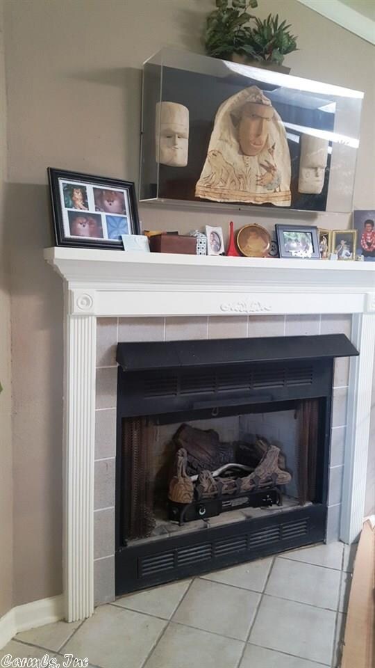 639 Field Creek Rd, Mammoth Spring, AR 72554 - photo 2