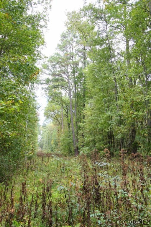 0 Vfw Rd unit 1528681, King William, VA 23181 - photo 5