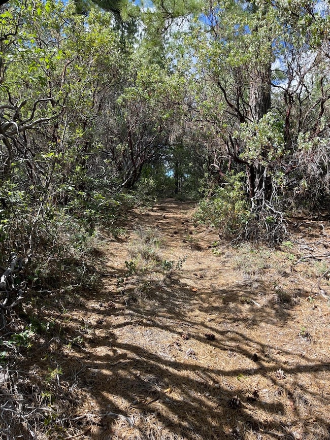 0 Loggers Trail, Colfax, CA 95713 - photo 7