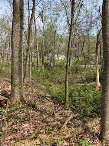 0 Walnut Dowler Rd unit 225043922, Logan, OH 43138 - photo 3