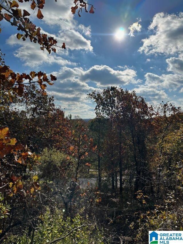 121 Crest Dr, Chelsea, AL 35043 - photo 6