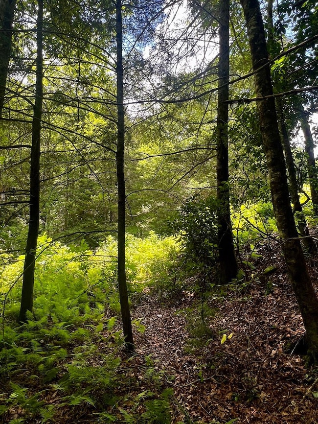 Tbd Indian Hills Drive Lot unit WP001, Murphy, NC 28906 - photo 6