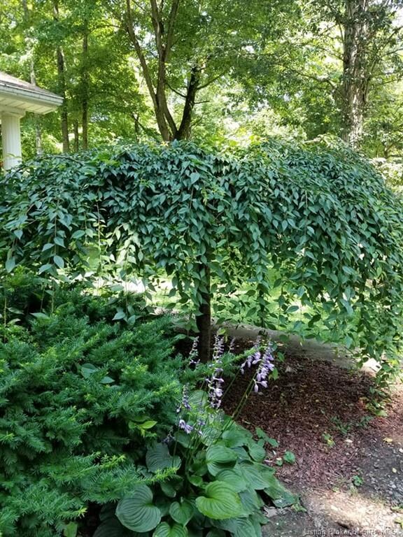 4414 E Harrod Rd, Scottsburg, IN 47170 - photo 3