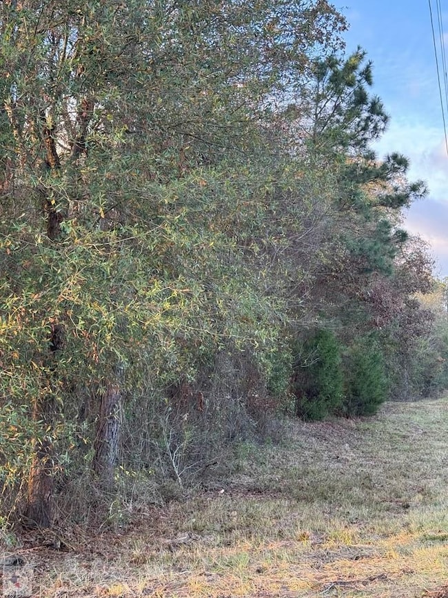 MC 130 E Mc 130, Texarkana, AR 71854 - photo 3