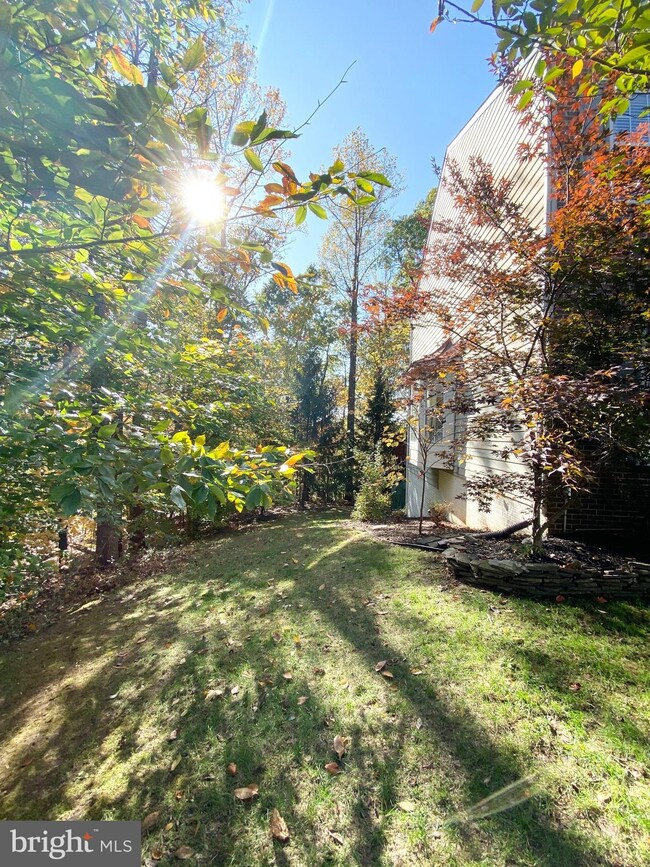 5462 Summer Leaf Ln, Alexandria, VA 22312 - photo 3