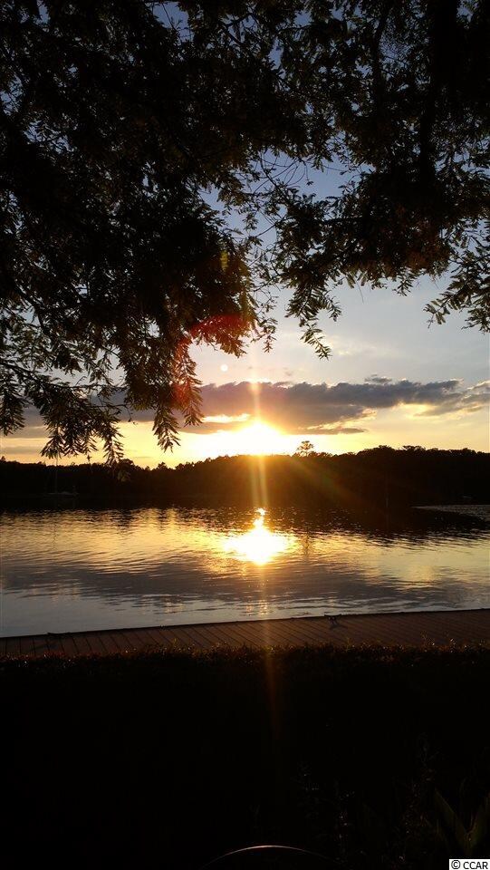3869 Spanner Way, Murrells Inlet, SC 29576 - photo 3