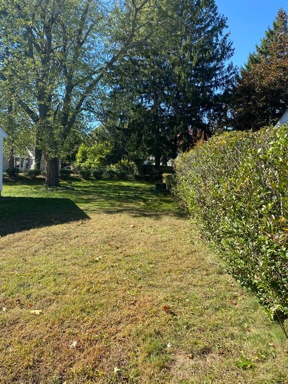 78 Wakefield St, Indian Orchard, MA 01151 - photo 3