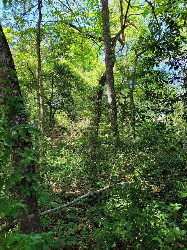 Nice Wooded Lot approx. 6400 sq.ft.