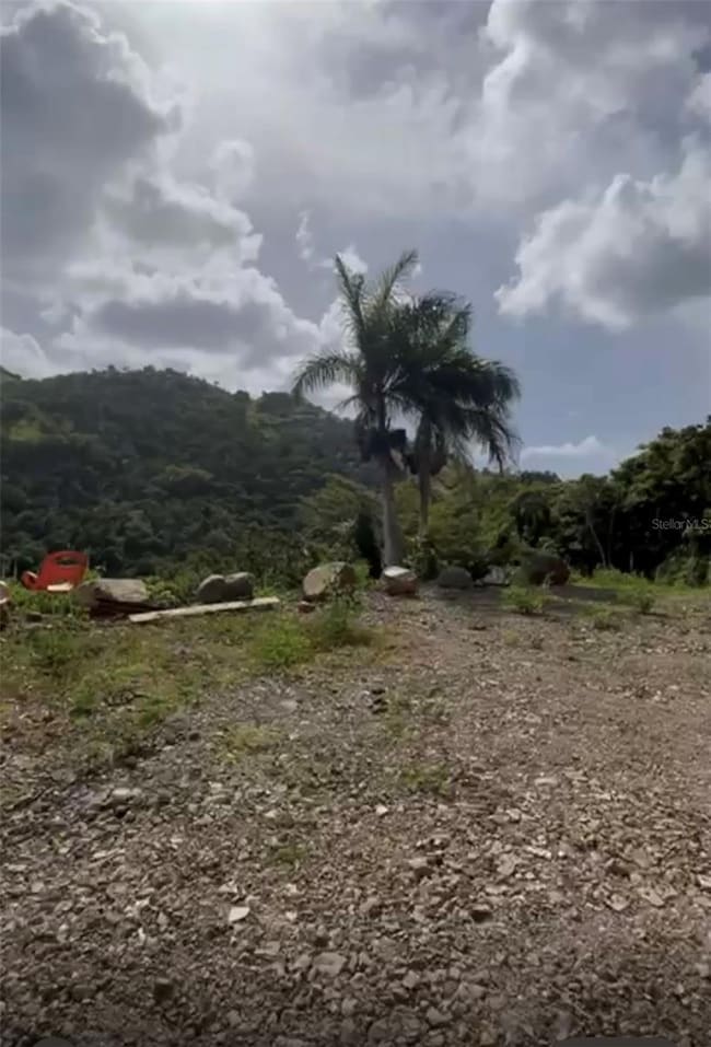 0 Bo Honduras unit MFRPR9117430, Cidra, PR 00739 - photo 7