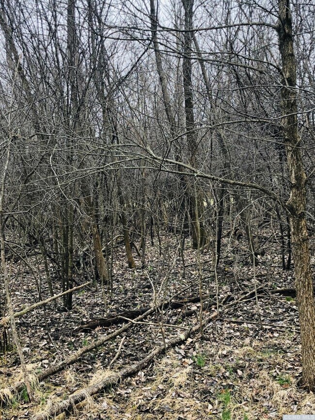 157 Whitney Point, Athens, NY 12015 - photo 6