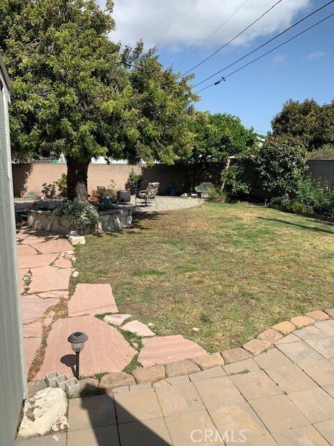 Great Back Yard with Mature Fruit Trees