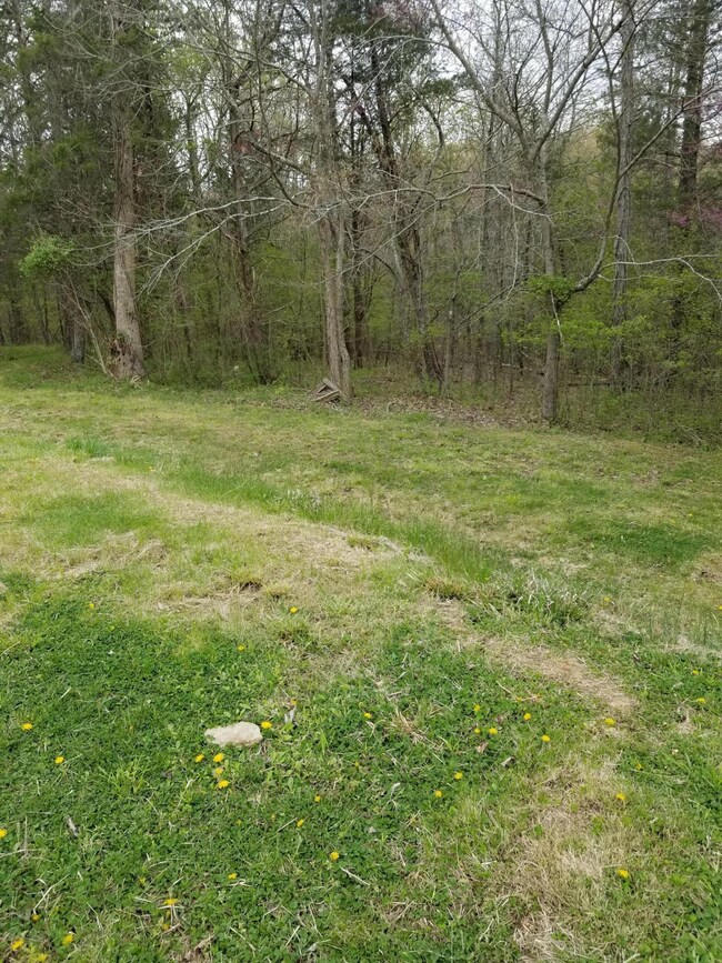 930 Lakeview Dr, Bloomfield, KY 40008 - photo 5