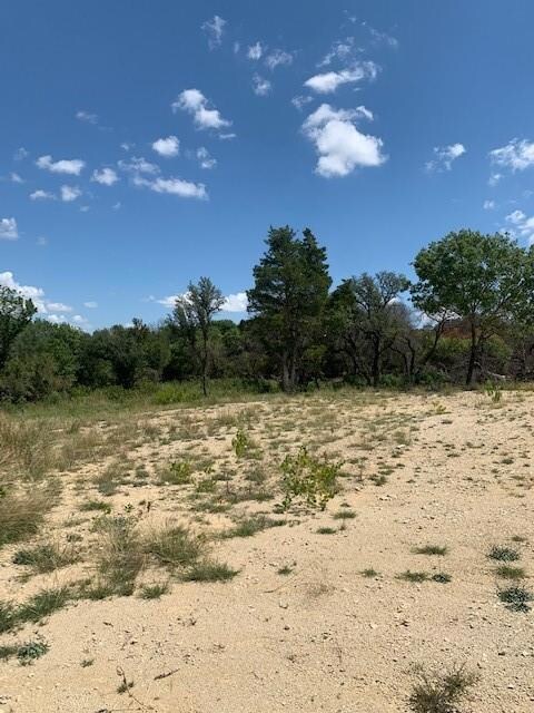 TBD Silver Creek Azle Rd, Azle, TX 76020 - photo 4