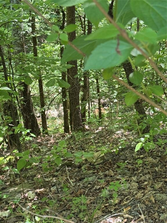 131 Charmed Ridge Ln, Hochatown, OK 74728 - photo 7