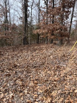 0 Pickering Dr unit 1266766, Bella Vista, AR 72714 - photo 3