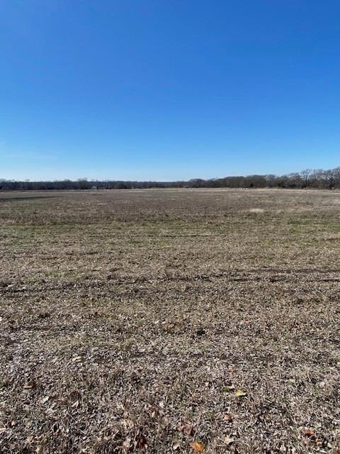 0 County Road 4045, Ector, TX 75439 - photo 6
